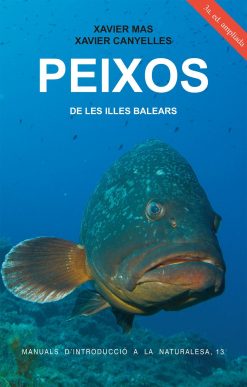 Peixos de les Illes Balears - Xavier Mas Xavier Canyelles - Manuals d'introducció a la naturalesa 13 - portada