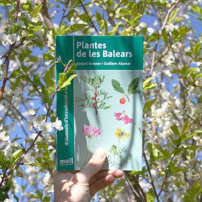 Plantes
